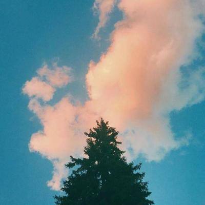 爱体育官方网站手机app下载