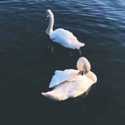 pg电子娱乐官网游戏