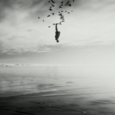 金沙官方登录入口