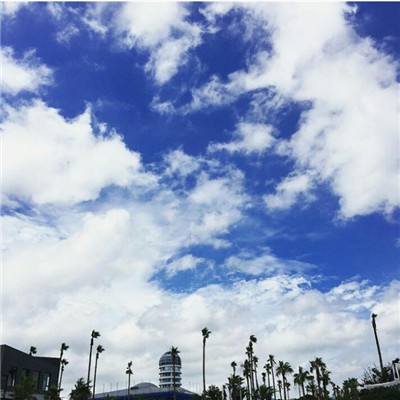 竞彩足球app官网下载